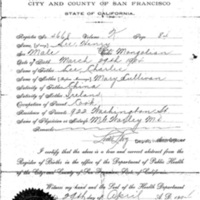 1904 Birth Certificate Henry Lee